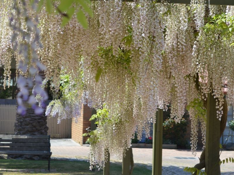 Unit 10/4-6 Cuttriss Street, Inverloch VIC 3996