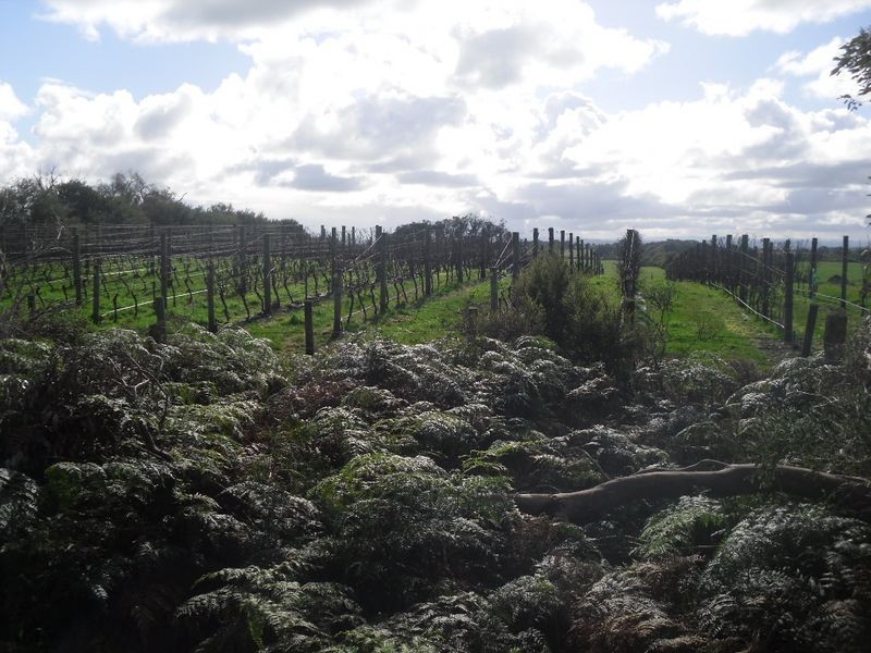 35b Lyons Road, Pound Creek VIC 3996