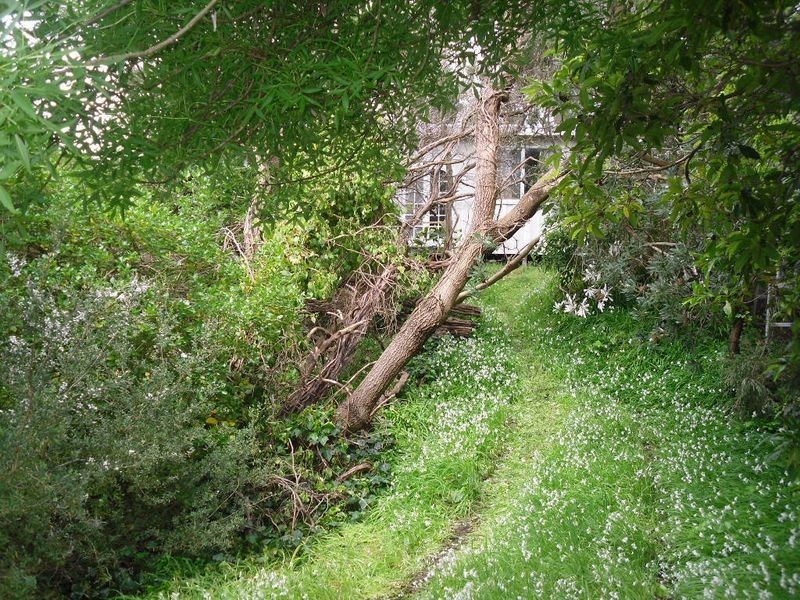 109 Lohr Avenue, Inverloch VIC 3996