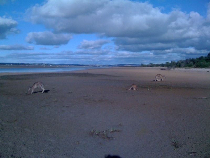 836 Lees Road Venus Bay, Inverloch VIC 3996