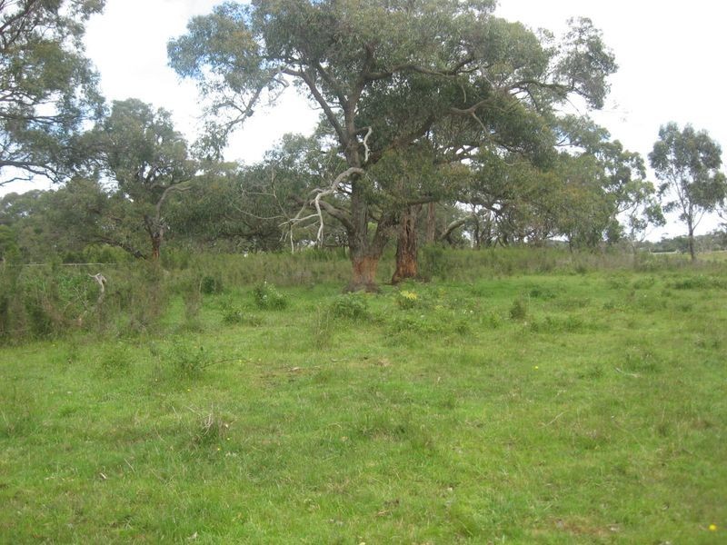 Lot 5 Inverloch – Kongwak Road, Wattle Bank VIC 3995