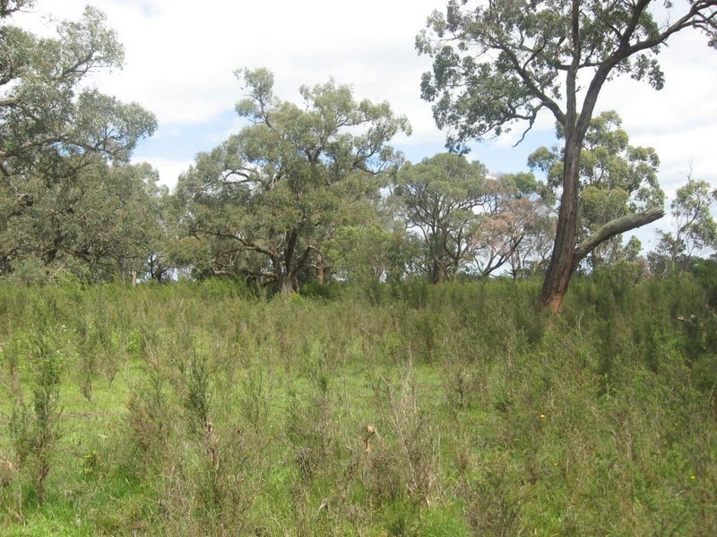 Lot 5 Inverloch – Kongwak Road, Wattle Bank VIC 3995