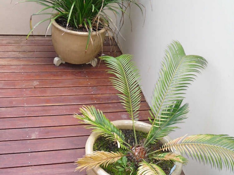 5/26 Hopetoun Street, Inverloch VIC 3996