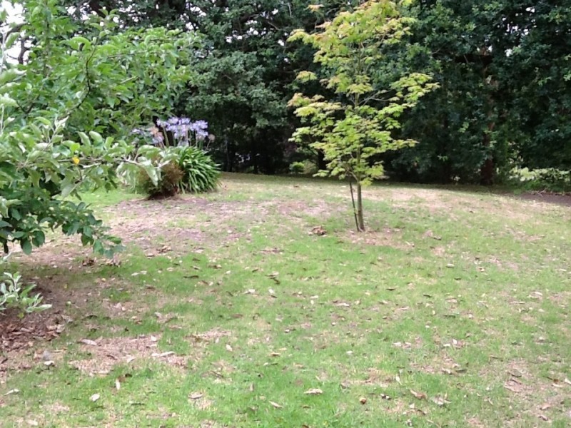 Lot 2 & Lo Williams Street, Kongwak VIC 3951