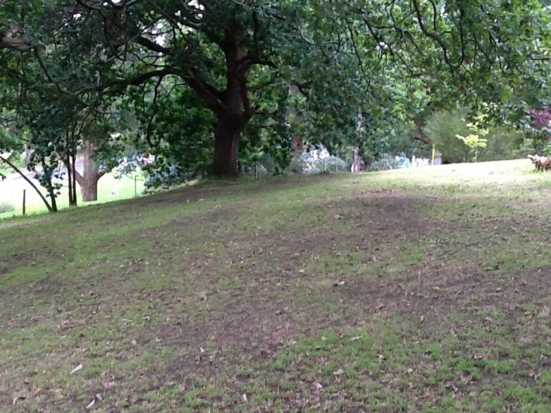 Lot 2 & Lo Williams Street, Kongwak VIC 3951