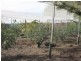 220 Wisdoms Road, Pound Creek VIC 3996