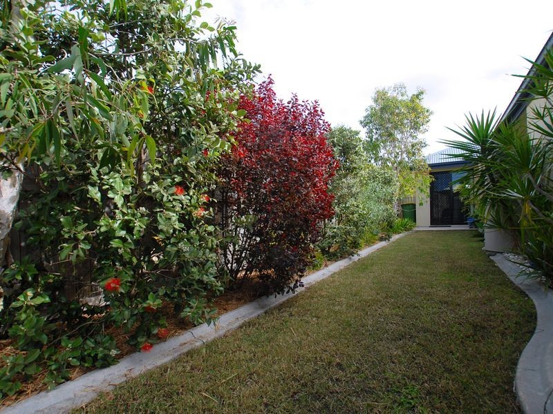 6 Springbrook Street, Caloundra QLD 4551