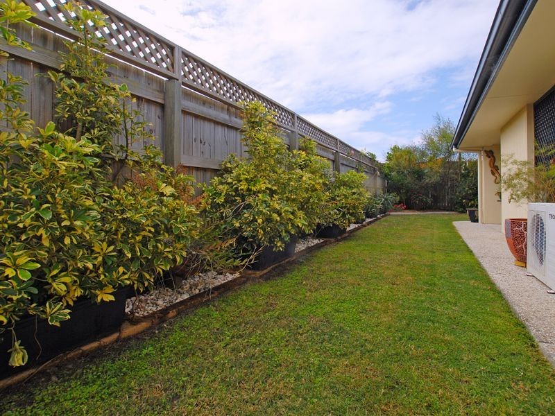 6 Springbrook Street, Caloundra QLD 4551