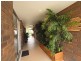 16 Ngama Street, Wurtulla QLD 4575