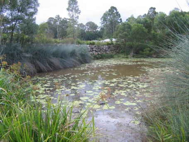 Lot 38 Fairview Court, Mooloolah Valley QLD 4553