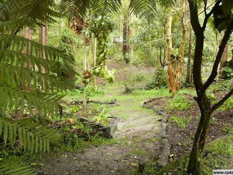 5 Park Court, Landsborough QLD 4550