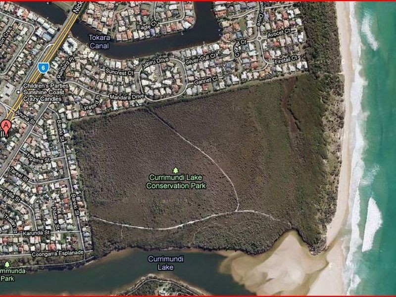 617 Nicklin Way, Wurtulla QLD 4575