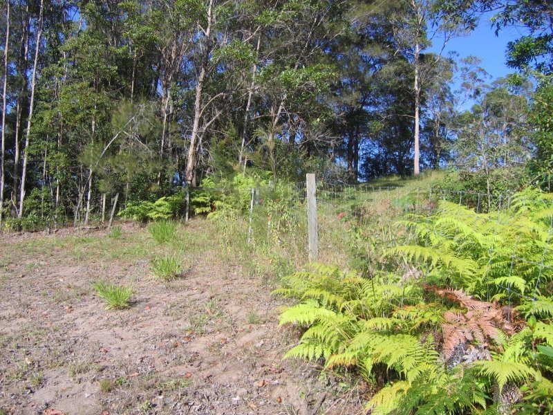 Lot 34 Fairview Court, Mooloolah Valley QLD 4553