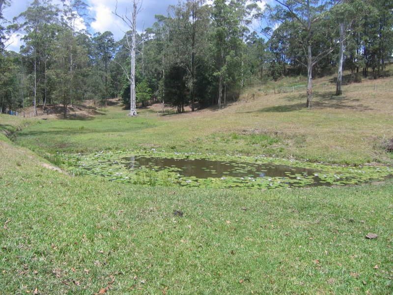 139 Diamond Valley Road, Mooloolah Valley QLD 4553