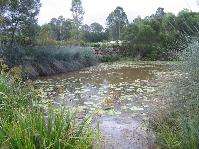 Lot 20 Haven Court, Mooloolah Valley QLD 4553