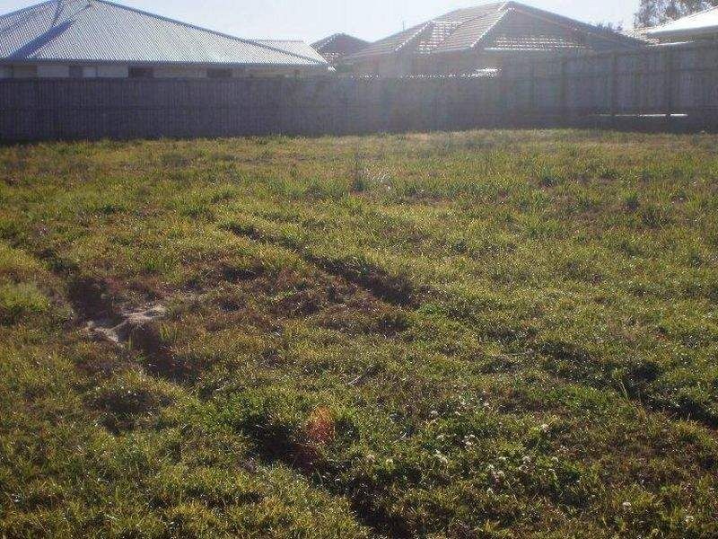 8 Carbeen Place, Meridan Plains QLD 4551