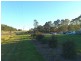 141 Frizzo Road, Palmview QLD 4553
