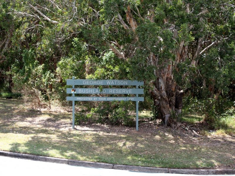 16 Russell Street, Shelly Beach QLD 4551