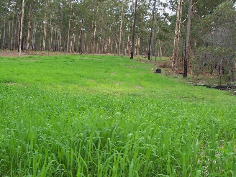 Jessens Road, Gundiah QLD 4650