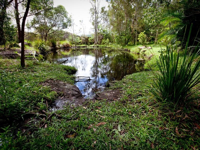 195 Parklands Boulevard, Little Mountain QLD 4551