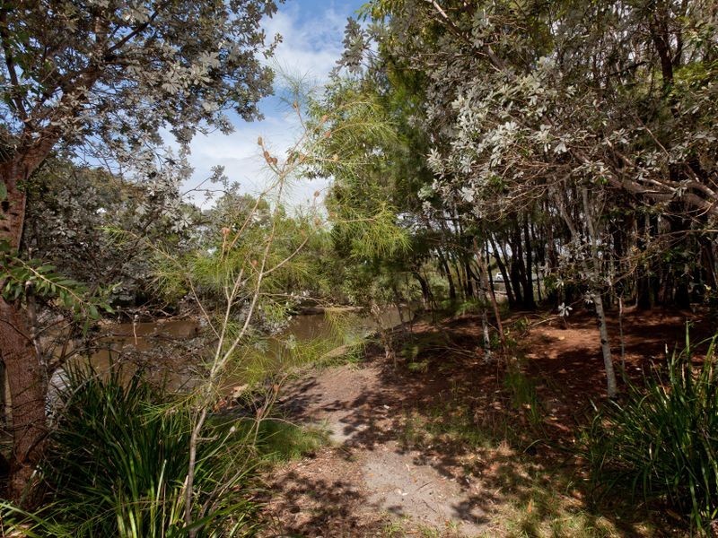 36 Lomandra Drive, Currimundi QLD 4551