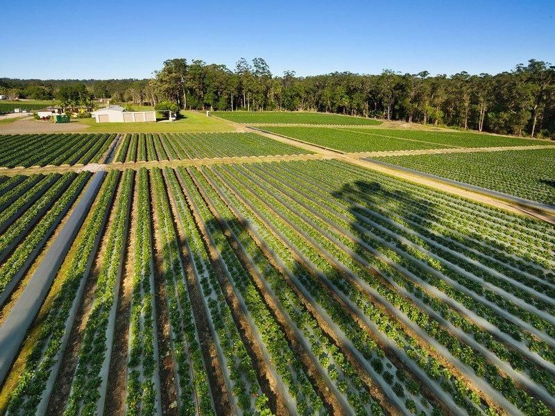 441 Chevallum Road, Chevallum QLD 4555