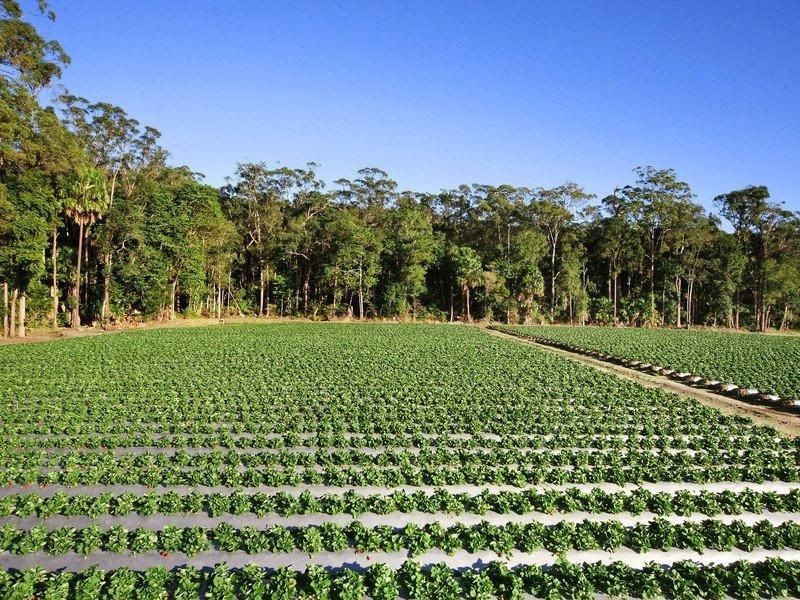 441 Chevallum Road, Chevallum QLD 4555