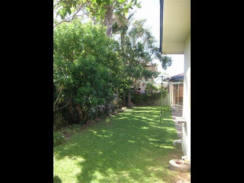 19 William St, Shelly Beach QLD 4551