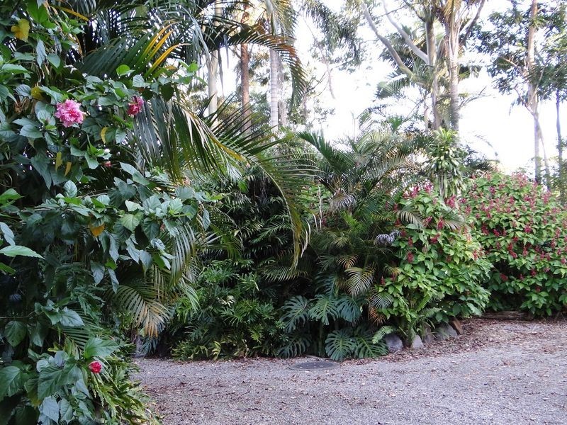 16 William street, Landsborough QLD 4550