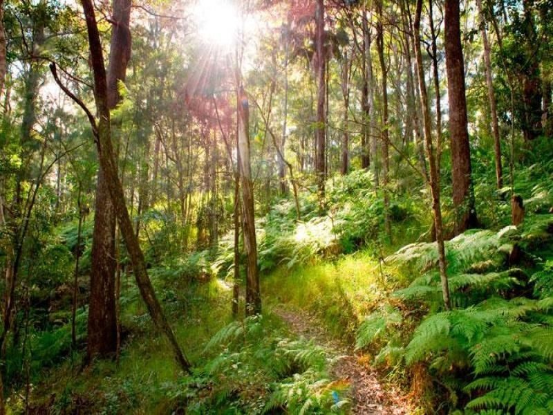 Lot 4 Jarrah Way, Landsborough QLD 4550