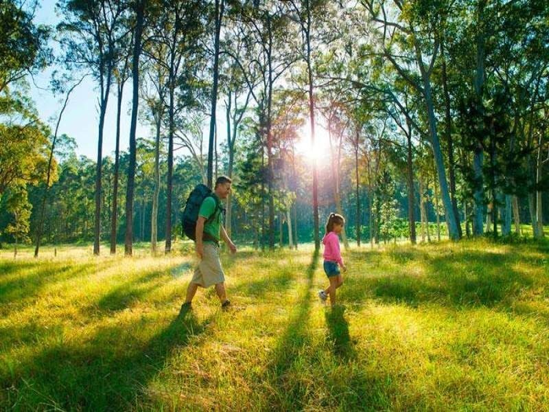 Lot 4 Jarrah Way, Landsborough QLD 4550