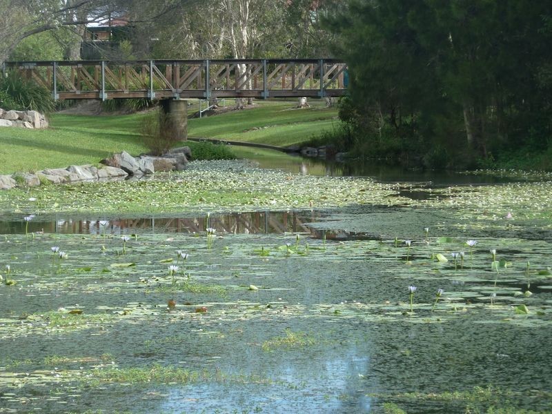 26 Waterside Place, Little Mountain QLD 4551