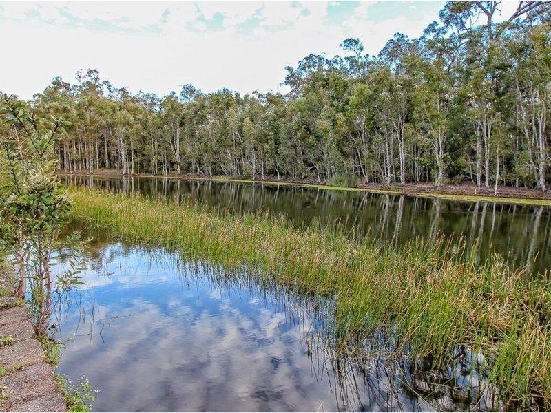 26 Campbellville Circuit, Pelican Waters QLD 4551