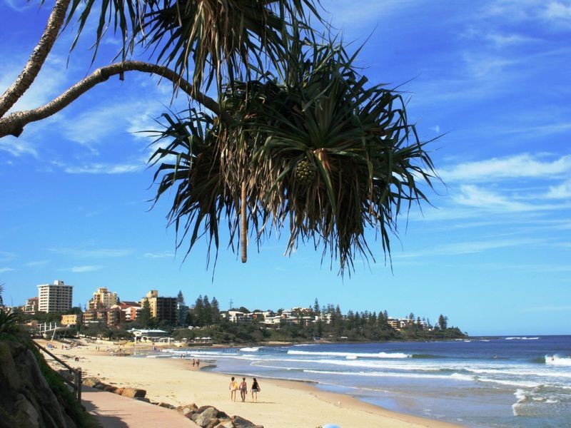 25/10-14 Saltair Street, Kings Beach QLD 4551