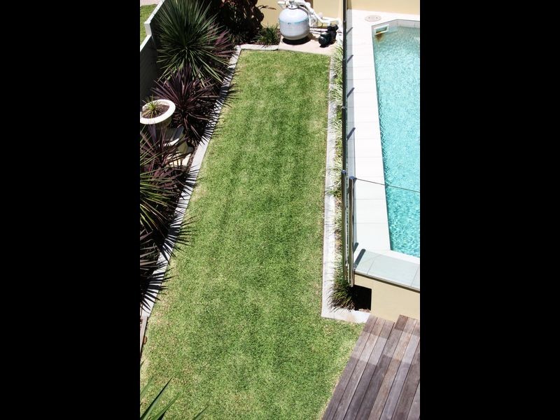 17 Dicky Beach Close, Dicky Beach QLD 4551