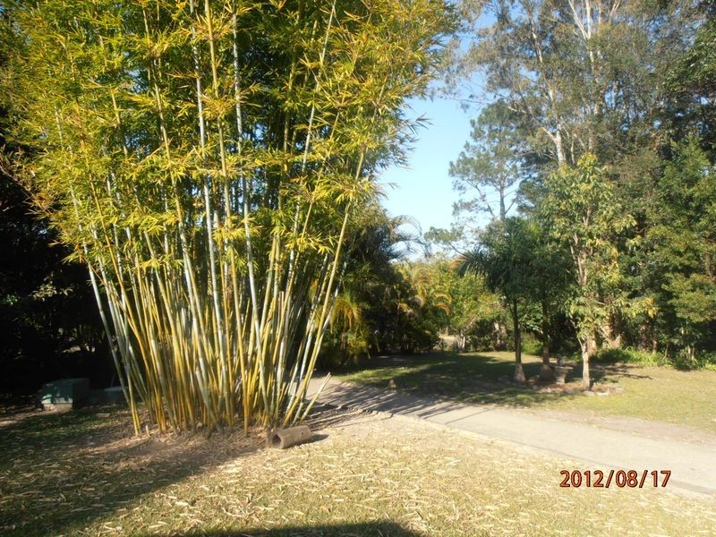 624 Glenview Road, Glenview QLD 4553
