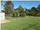 32 Mooloolah Meadows Drive, Mooloolah Valley QLD 4553