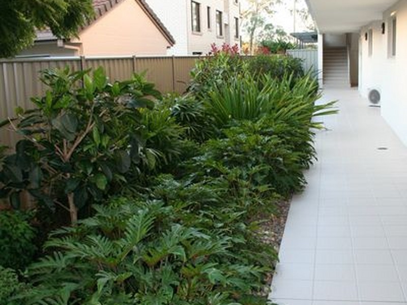 3/1 Mai Street, Maroochydore QLD 4558