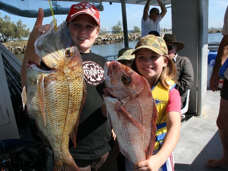 Bli Bli QLD 4560