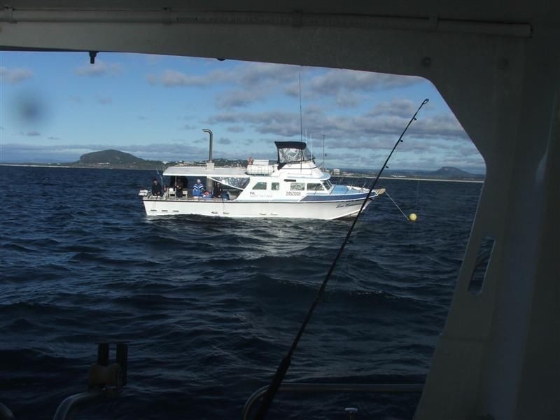 Bli Bli QLD 4560