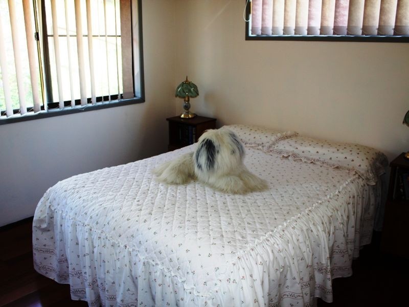 48 Maltman Street South, Caloundra QLD 4551