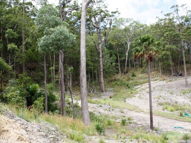 27 Dunk Place, Little Mountain QLD 4551