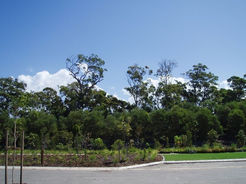 27 Northcote Crescent ‘Bellvista Estate’, Caloundra West QLD 4551