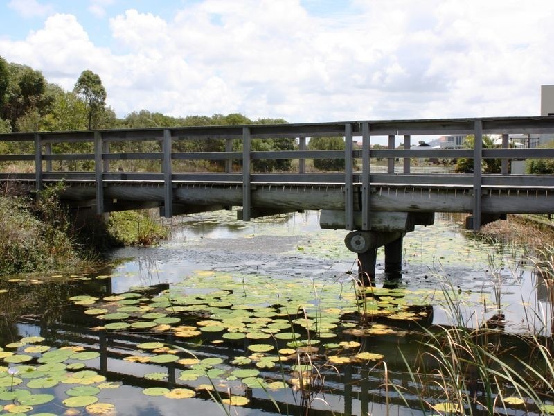 4 Rutherford Place, Pelican Waters QLD 4551