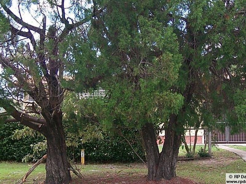 77 Coronation Avenue, Golden Beach QLD 4551