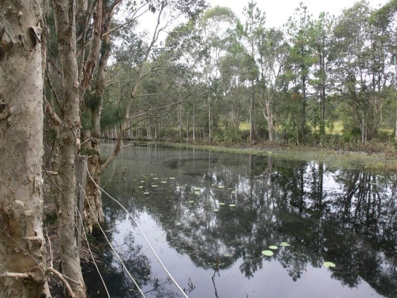 2312 Steve Irwin Way, Landsborough QLD 4550