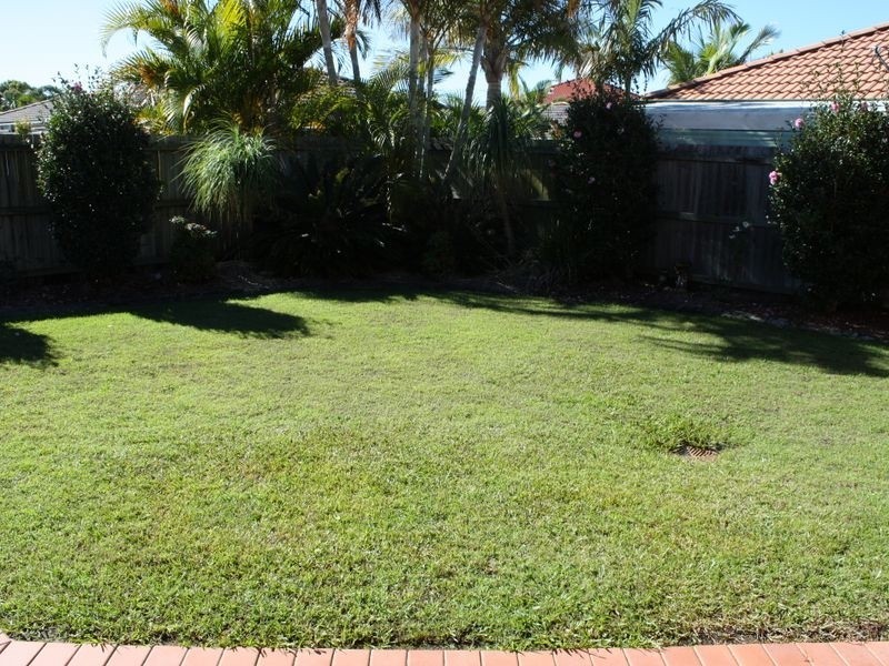 31 Investigator Place, Pelican Waters QLD 4551