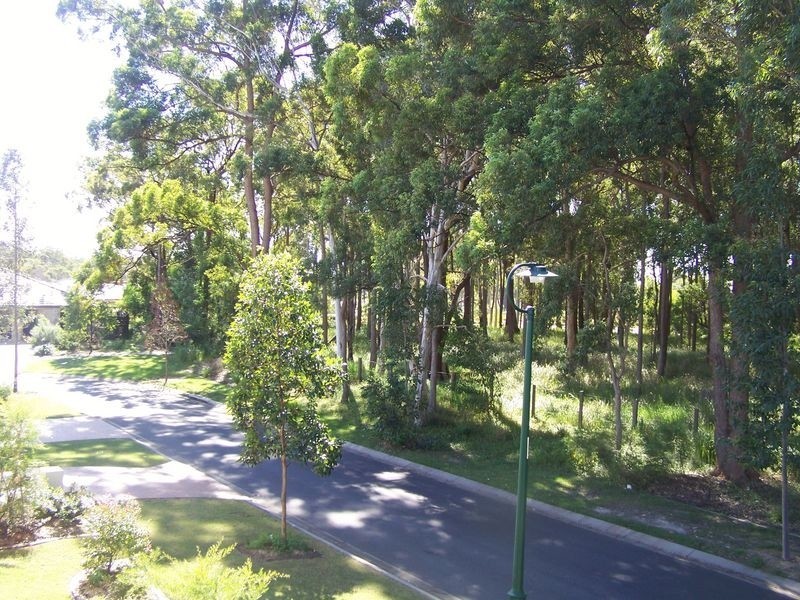 19 Tall Trees Way, Little Mountain QLD 4551