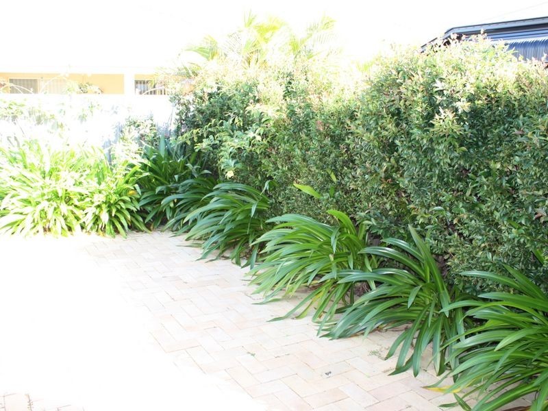 30 Sycamore Drive, Currimundi QLD 4551