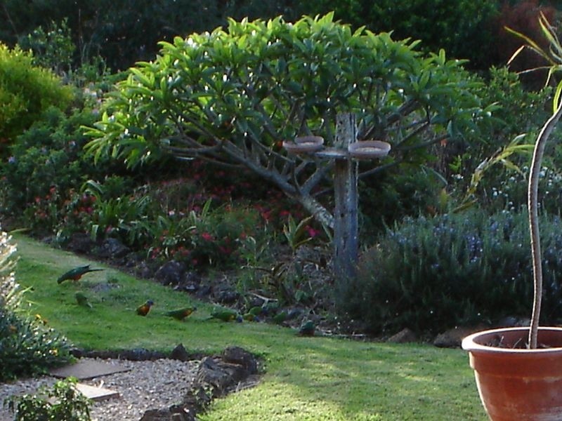 306 Corks Pocket Road, Maleny QLD 4552